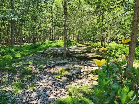 150 Hartwood Drive Smallwood NY 12778