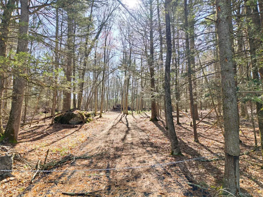 Crawford Road Eldred NY 12528