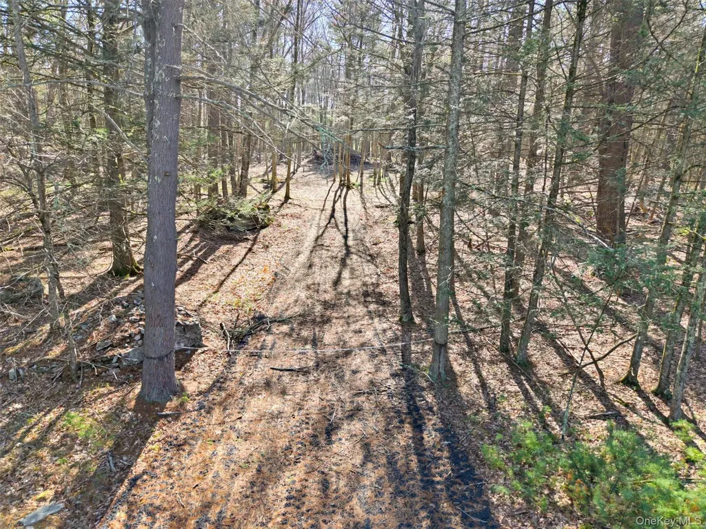 Crawford Road Eldred NY 12528