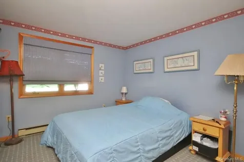 44 Lake Shore Drive S Rock Hill NY 12775