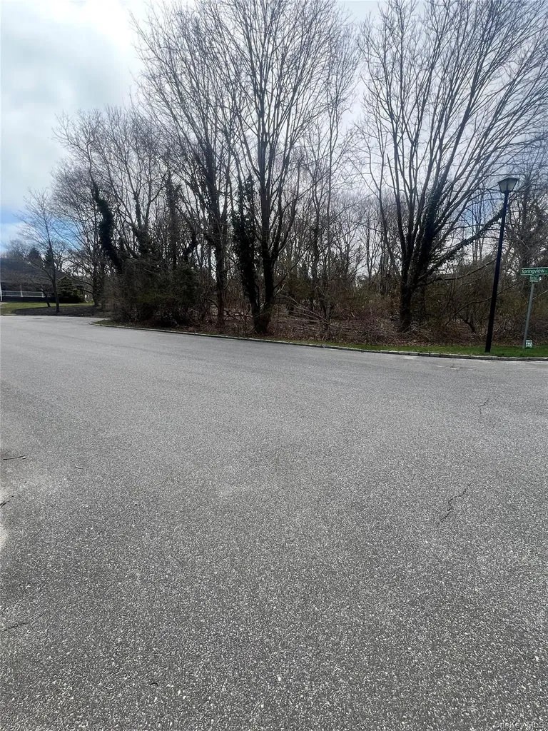 Springview Court East Patchogue NY 11772