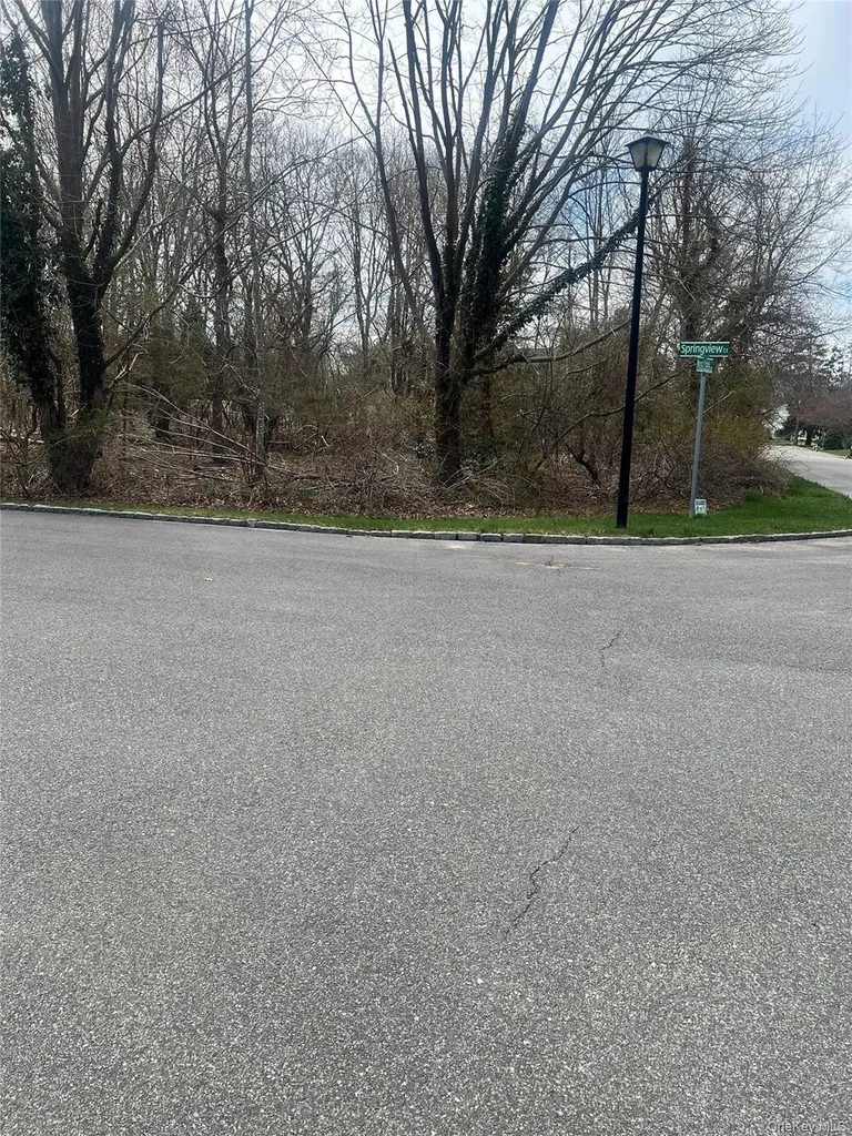 Springview Court East Patchogue NY 11772