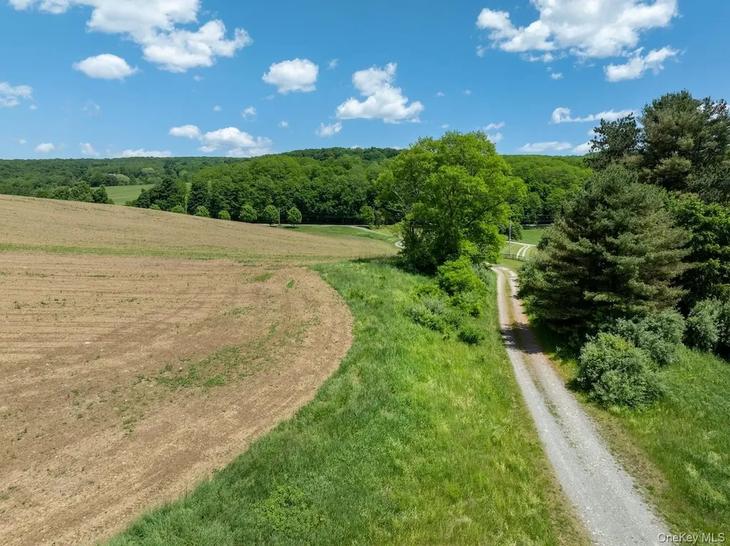 1533-1539 Route 83 Millerton NY 12567