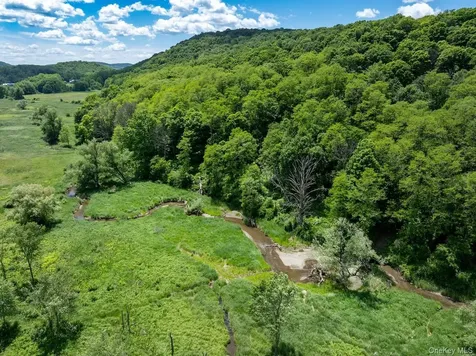 1533-1539 Route 83 Millerton NY 12567
