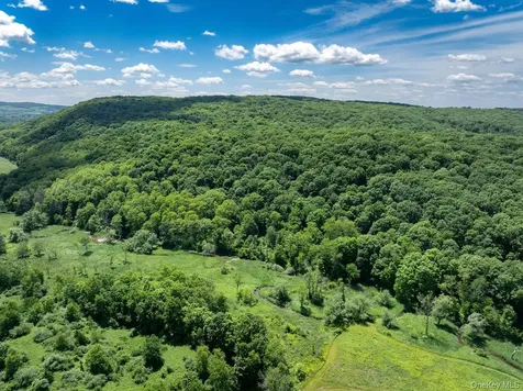 1533-1539 Route 83 Millerton NY 12567
