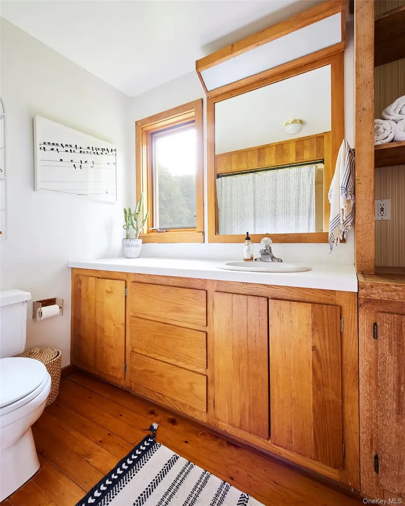 54 Davis Lane Grahamsville NY 12740