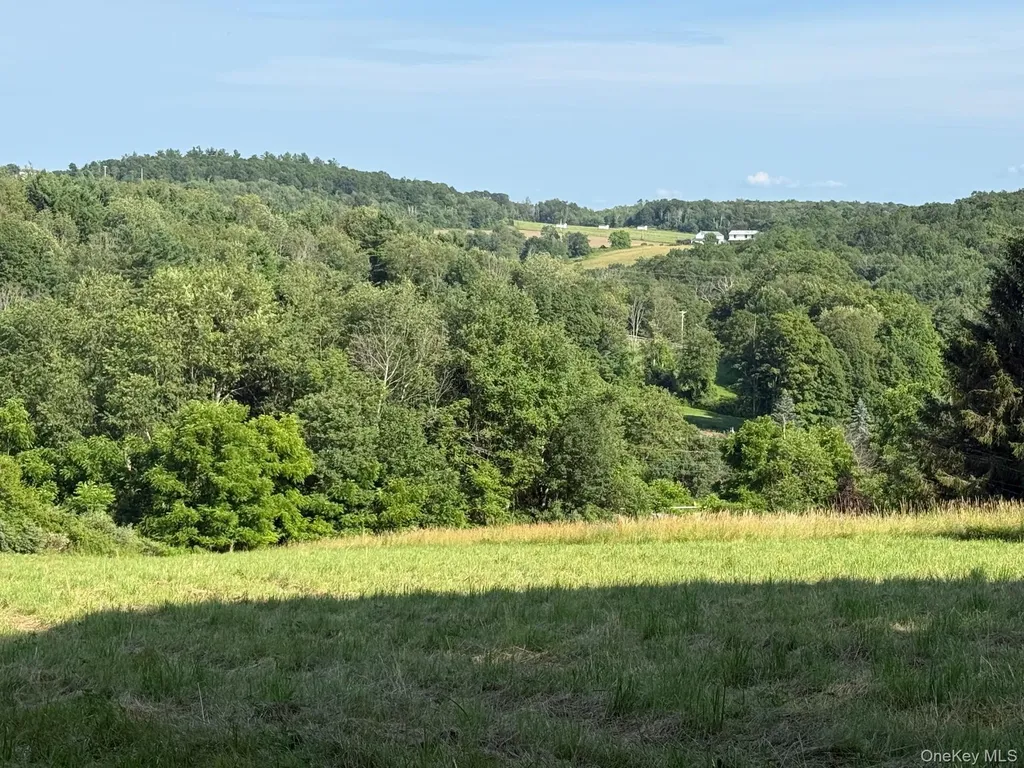 Smithfield Road Millerton NY 12546