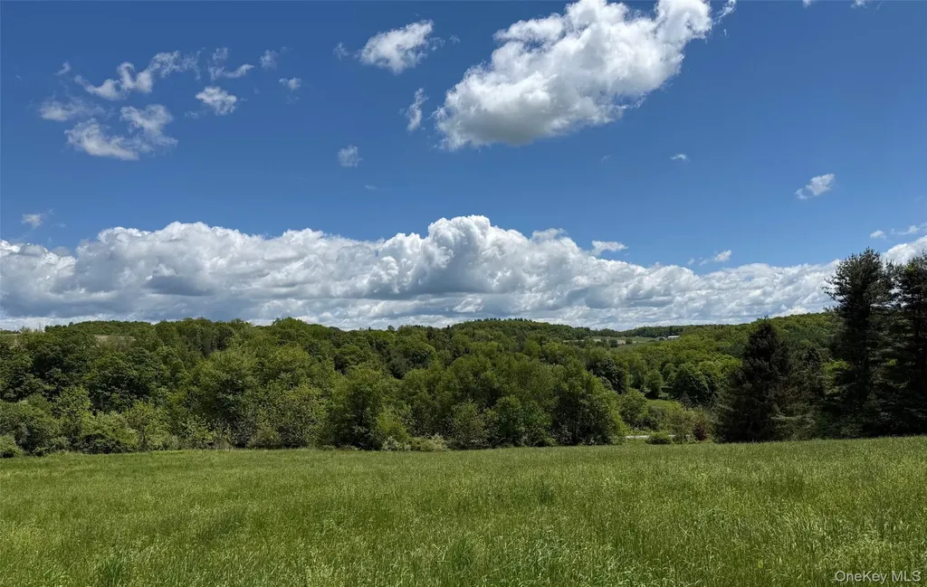 Smithfield Road Millerton NY 12546