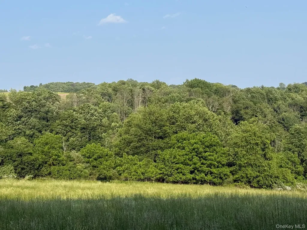 Smithfield Road Millerton NY 12546