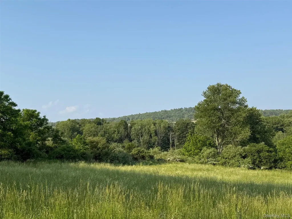 Smithfield Road Millerton NY 12546
