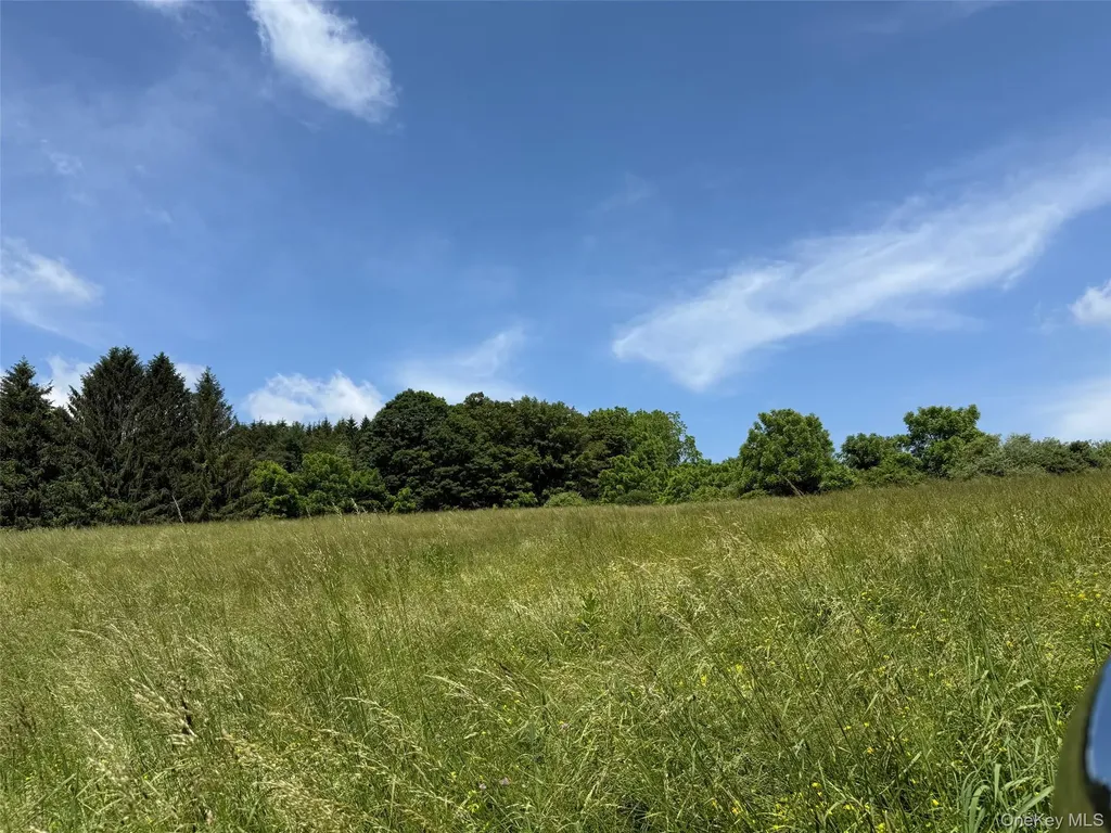 Smithfield Road Millerton NY 12546
