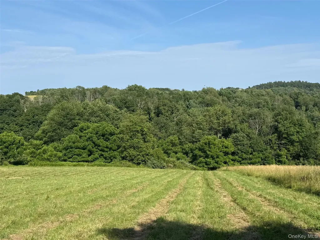 Smithfield Road Millerton NY 12546