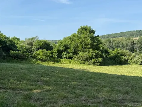 Smithfield Road Millerton NY 12546