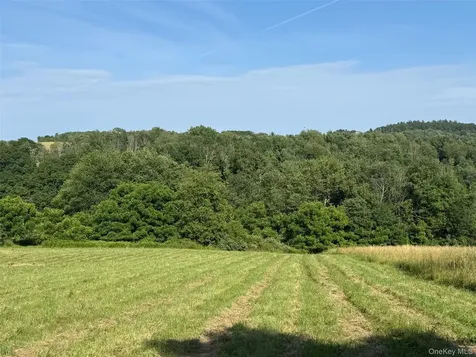 Smithfield Road Millerton NY 12546