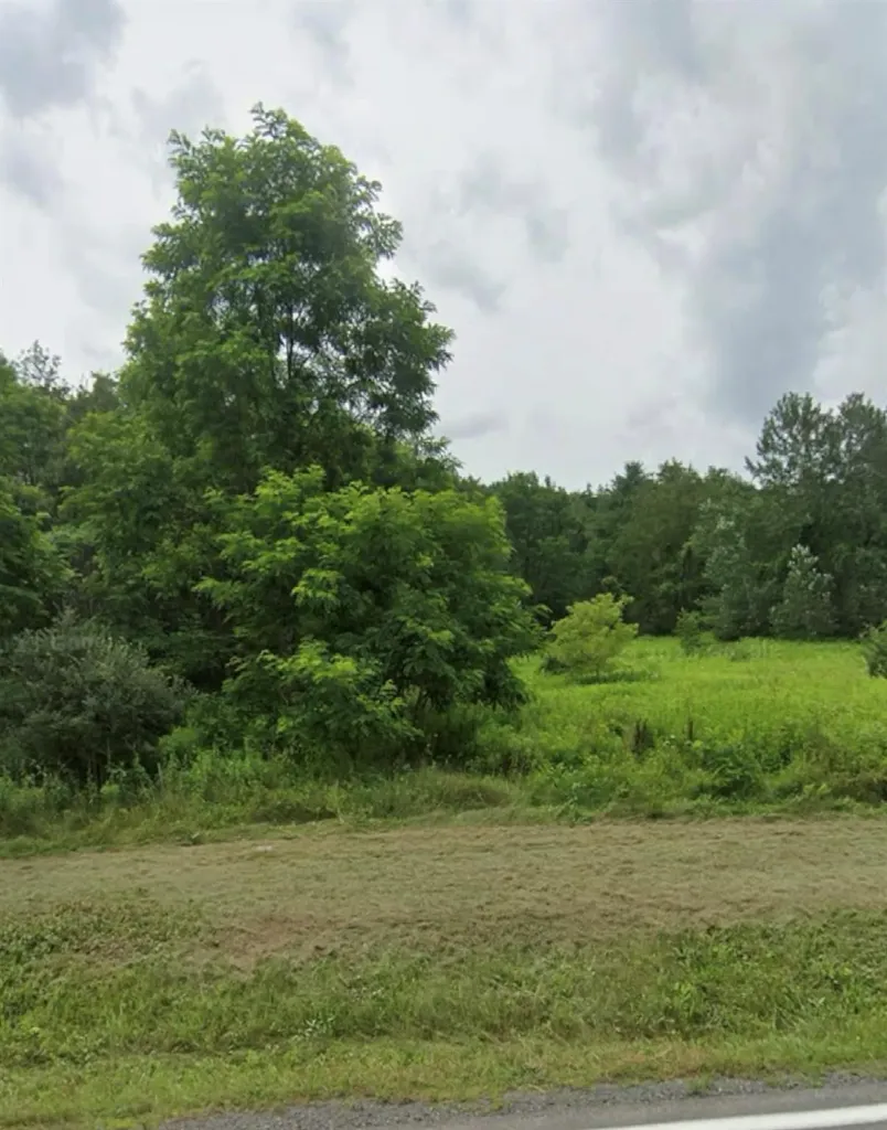 14951 State Route 23 Prattsville NY 12468