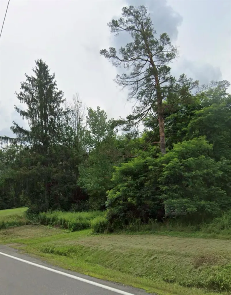 14951 State Route 23 Prattsville NY 12468