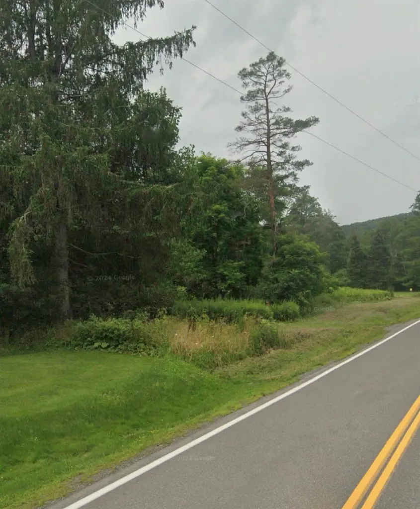 14951 State Route 23 Prattsville NY 12468