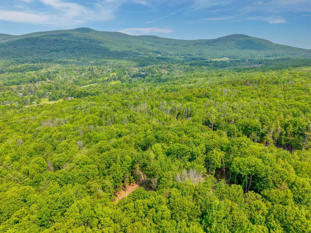 Tbd Boulder Brook Lot B14 Road Windham NY 12496