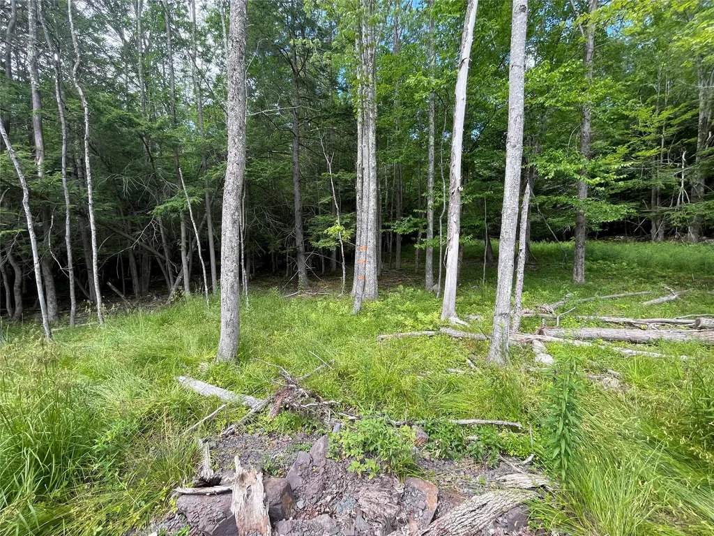 Tbd Boulder Brook Lot B14 Road Windham NY 12496