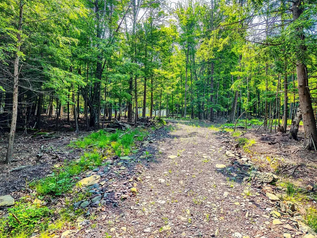 Tbd Boulder Brook Lot B14 Road Windham NY 12496