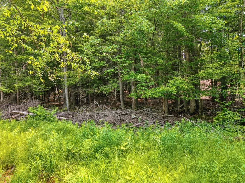 Tbd Boulder Brook Lot B14 Road Windham NY 12496