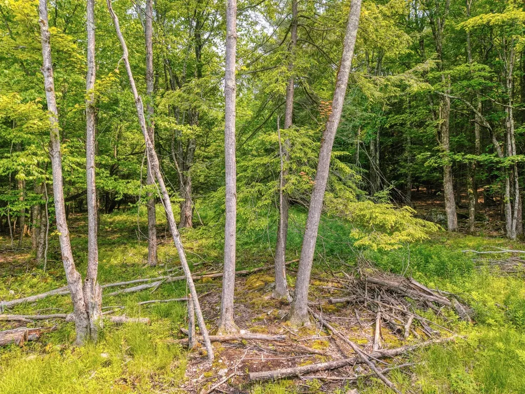 Tbd Boulder Brook Lot B14 Road Windham NY 12496