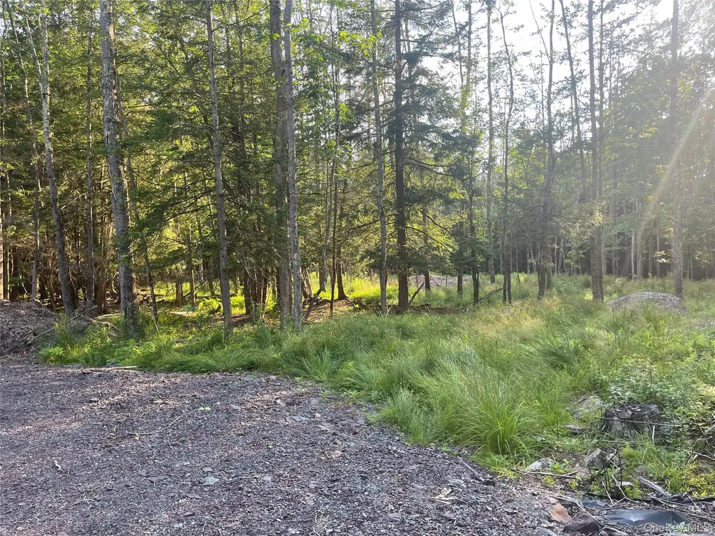 Tbd Lot 8 Boulder Brook Road Windham NY 12496
