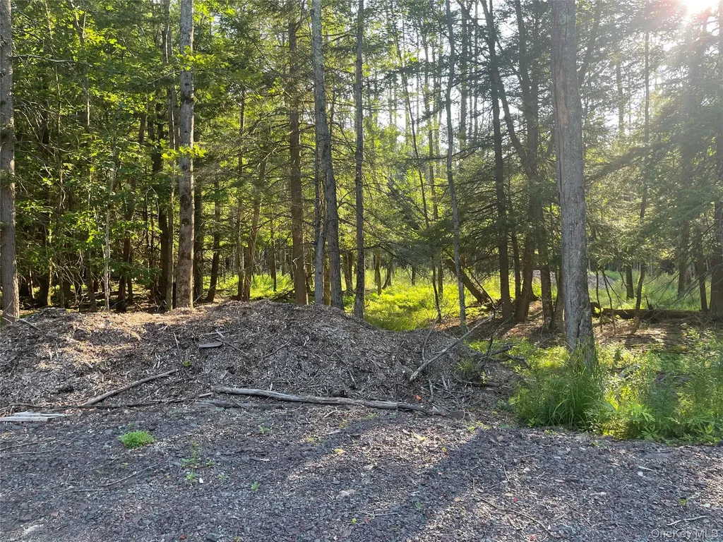 Tbd Lot 8 Boulder Brook Road Windham NY 12496
