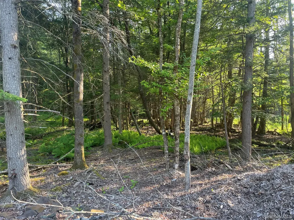 Tbd Lot 8 Boulder Brook Road Windham NY 12496
