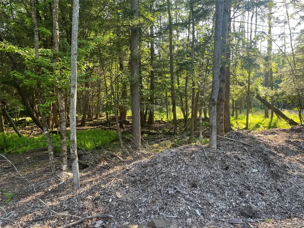 Tbd Lot 8 Boulder Brook Road Windham NY 12496