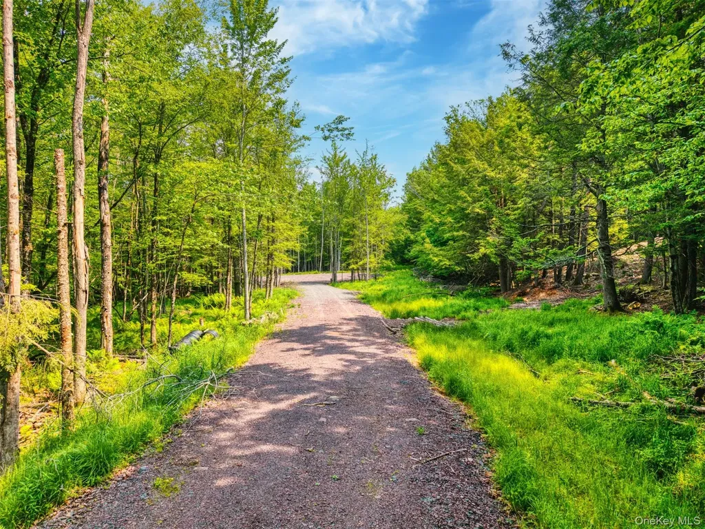 Tbd Lot 8 Boulder Brook Road Windham NY 12496