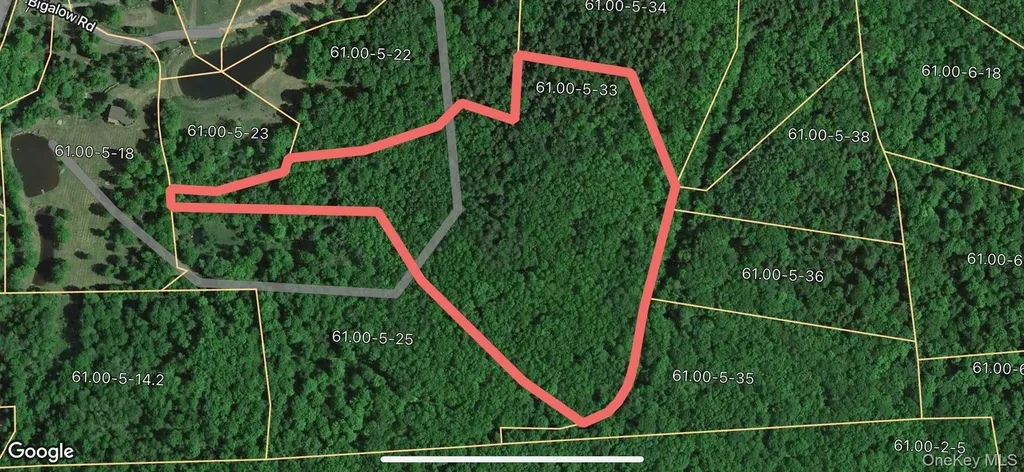 Tbd Lot 8 Boulder Brook Road Windham NY 12496