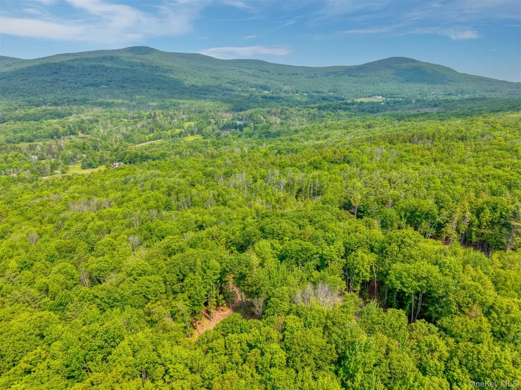 Tbd Lot 8 Boulder Brook Road Windham NY 12496