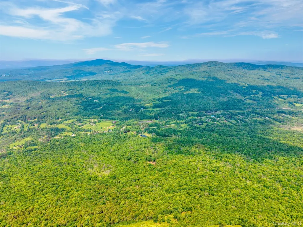Tbd Lot 8 Boulder Brook Road Windham NY 12496