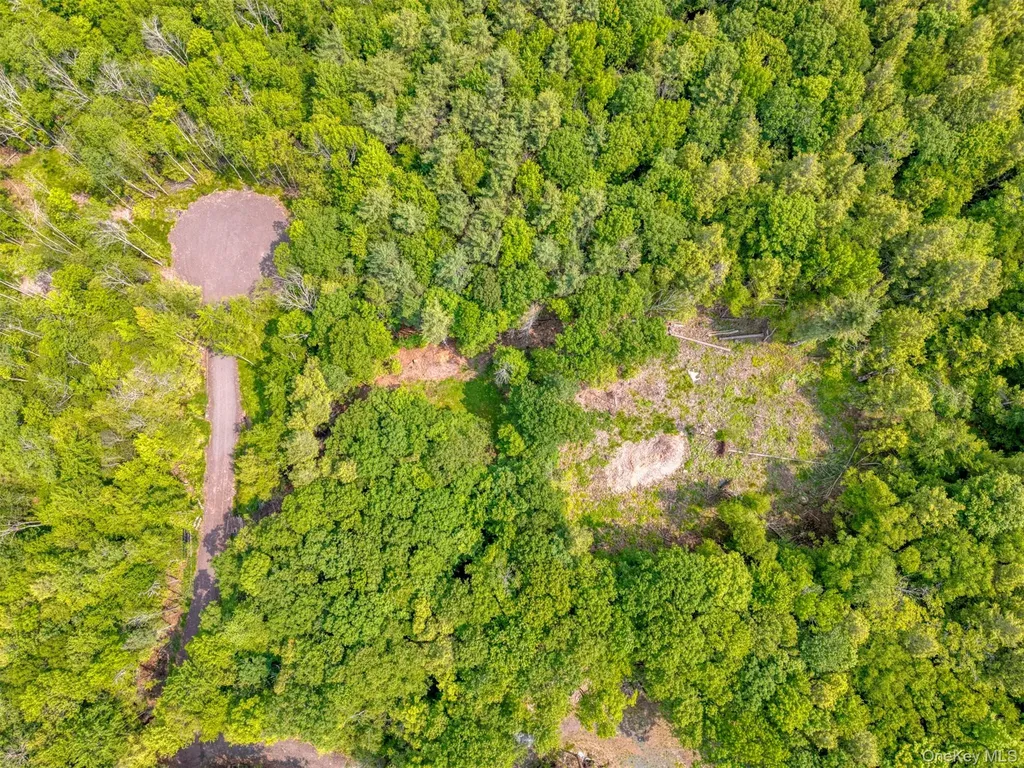 Tbd Lot 8 Boulder Brook Road Windham NY 12496