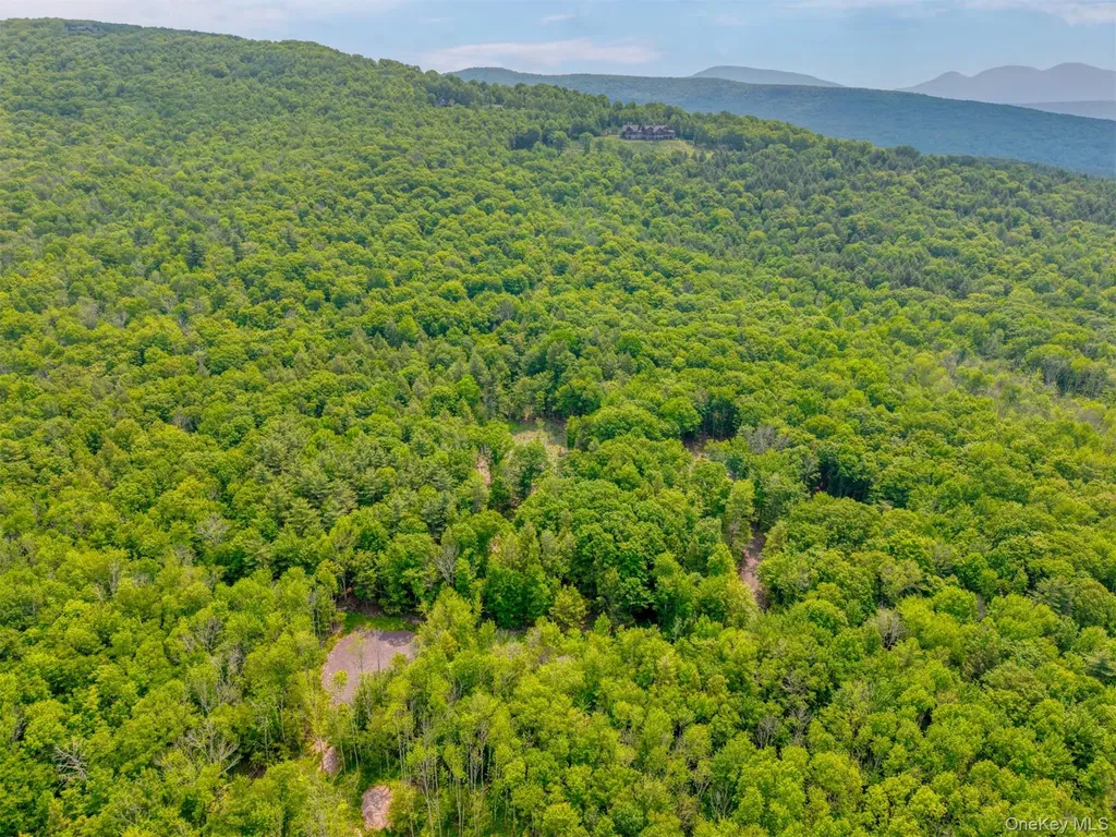 Tbd Lot 8 Boulder Brook Road Windham NY 12496