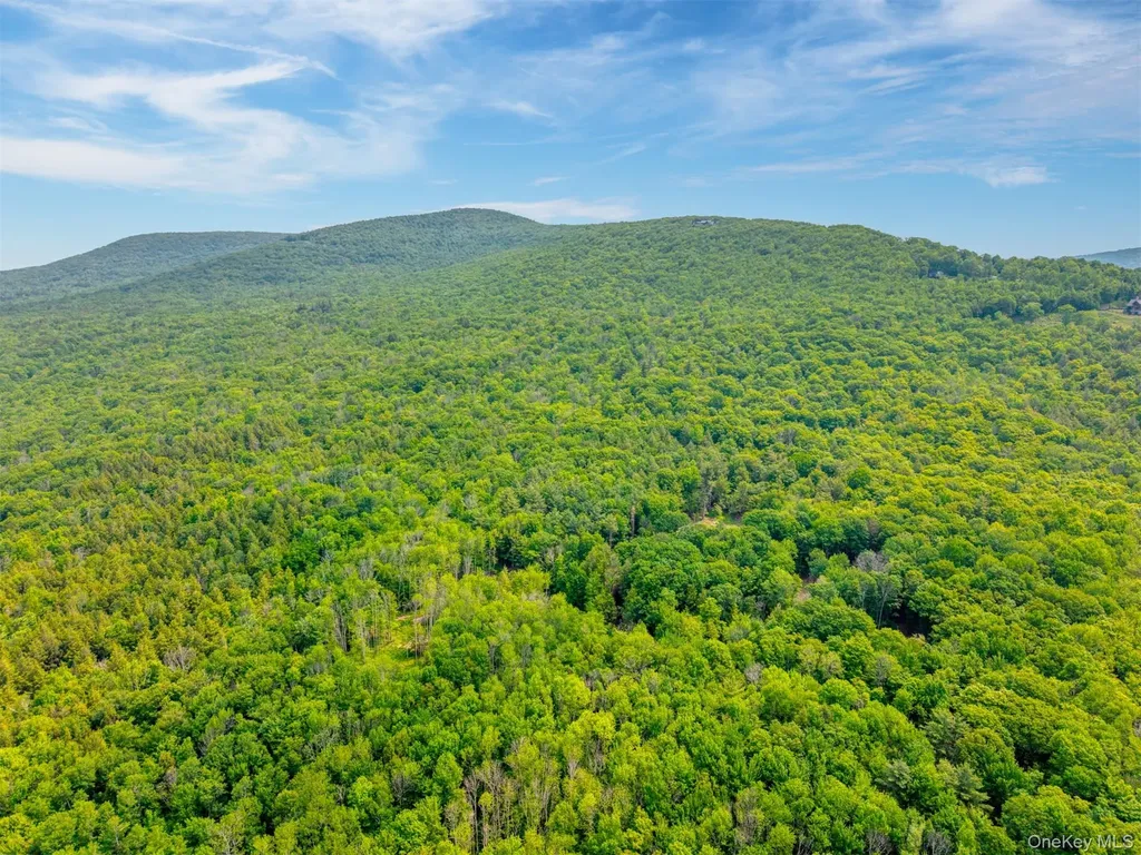 Tbd Lot 8 Boulder Brook Road Windham NY 12496