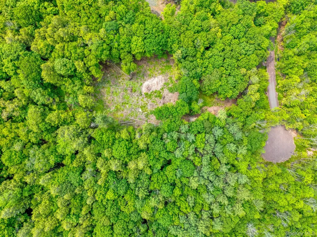 Tbd Lot 8 Boulder Brook Road Windham NY 12496