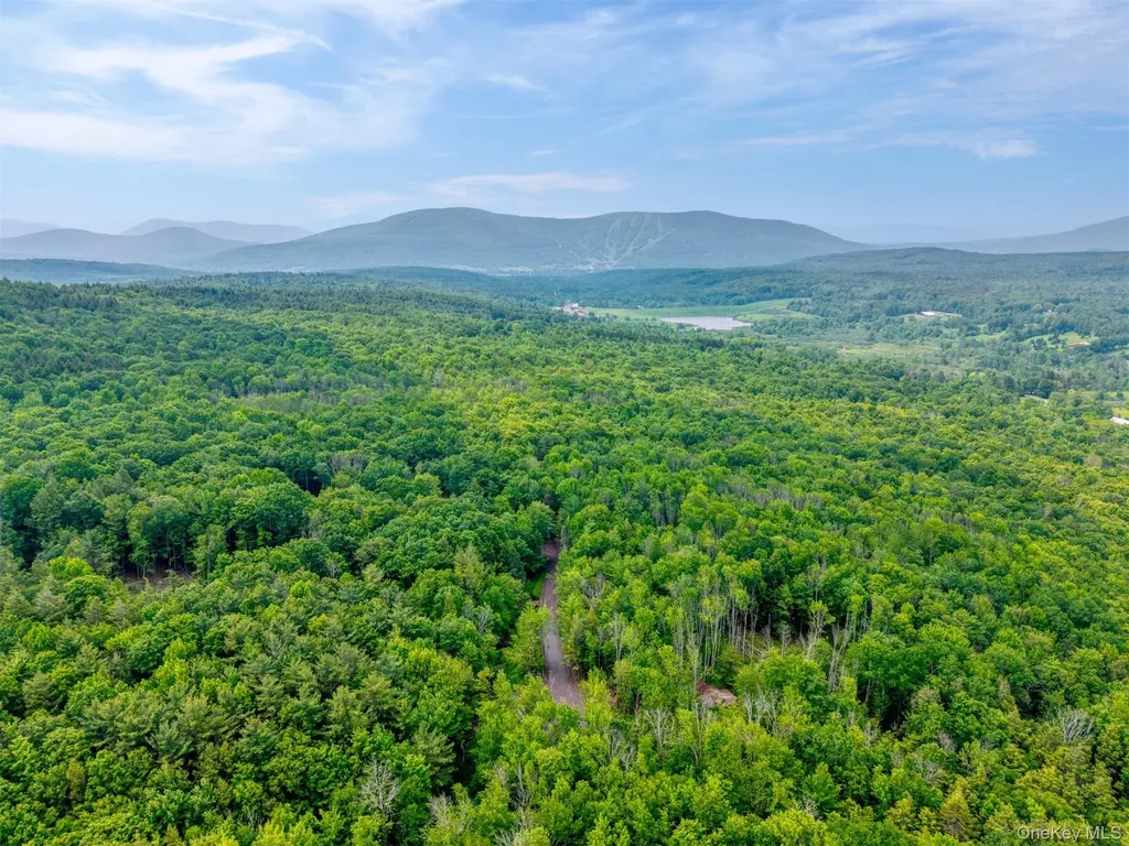 Tbd Lot 8 Boulder Brook Road Windham NY 12496