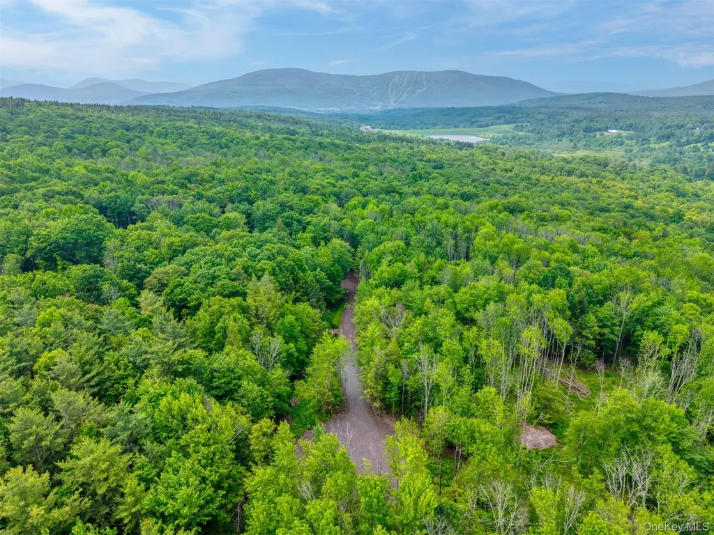Tbd Lot 8 Boulder Brook Road Windham NY 12496
