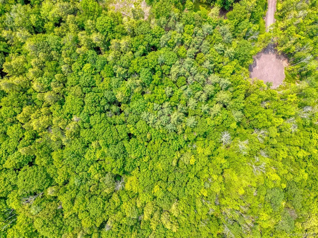 Tbd Lot 8 Boulder Brook Road Windham NY 12496