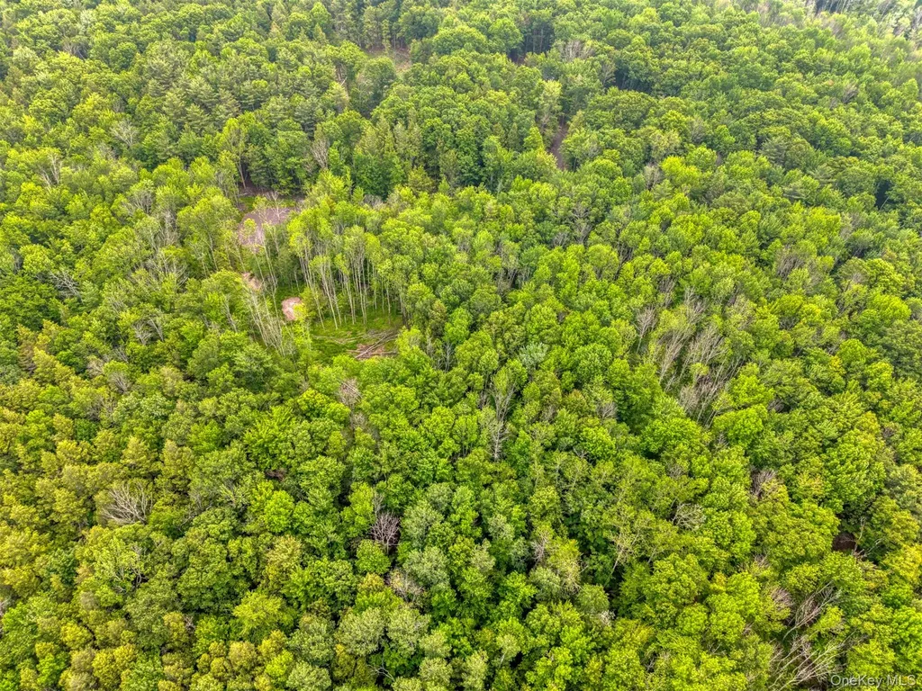Tbd Lot 8 Boulder Brook Road Windham NY 12496