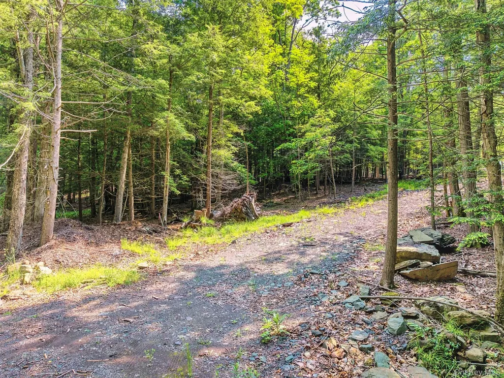 Tbd Lot 8 Boulder Brook Road Windham NY 12496