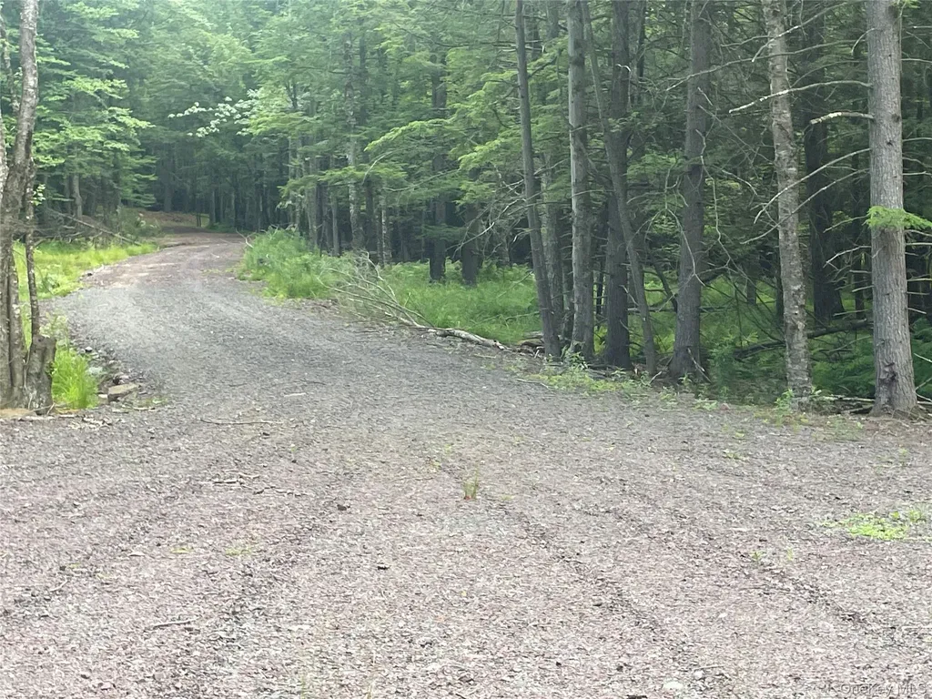 Tbd Lot 8 Boulder Brook Road Windham NY 12496