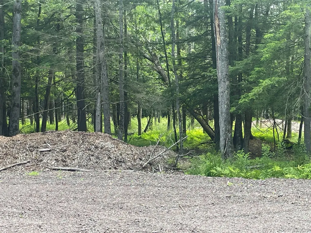 Tbd Lot 8 Boulder Brook Road Windham NY 12496