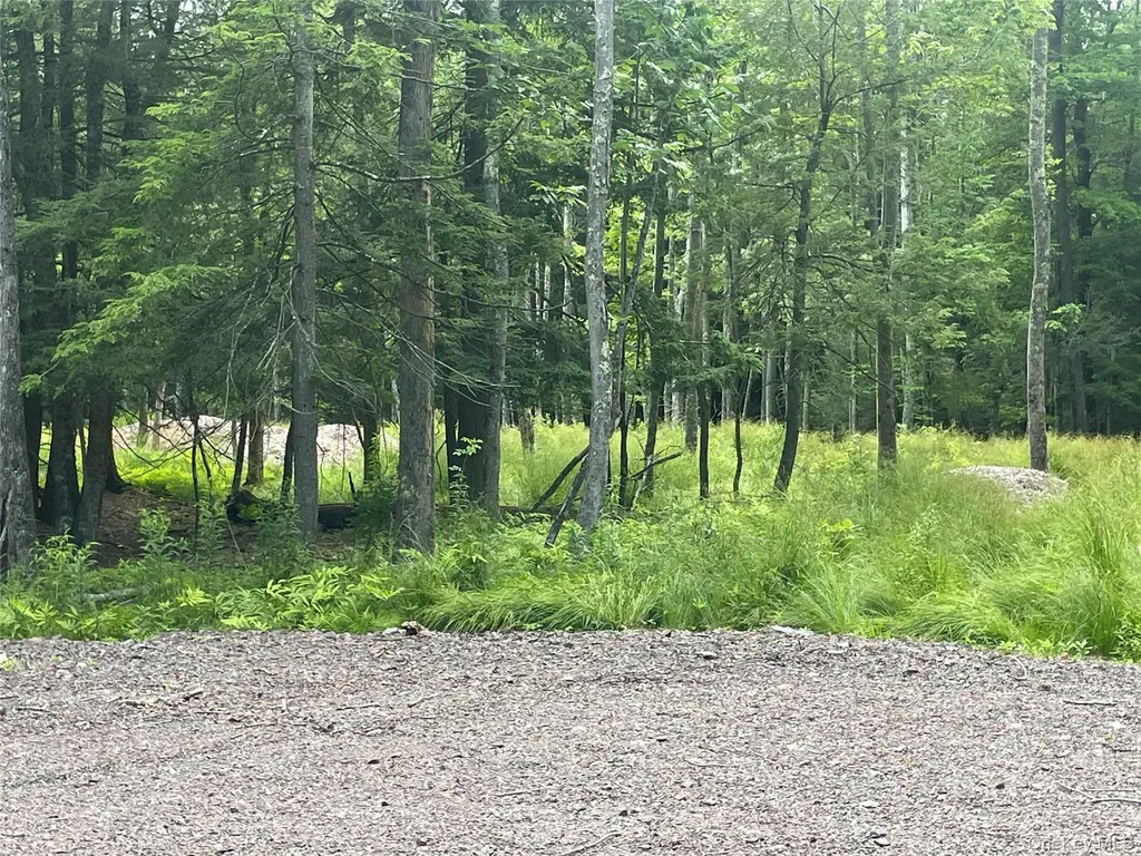 Tbd Lot 8 Boulder Brook Road Windham NY 12496