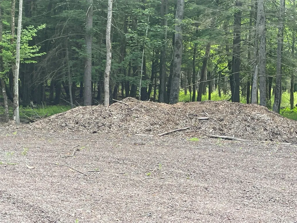 Tbd Lot 8 Boulder Brook Road Windham NY 12496