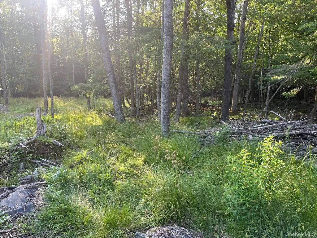 Tbd Lot 8 Boulder Brook Road Windham NY 12496