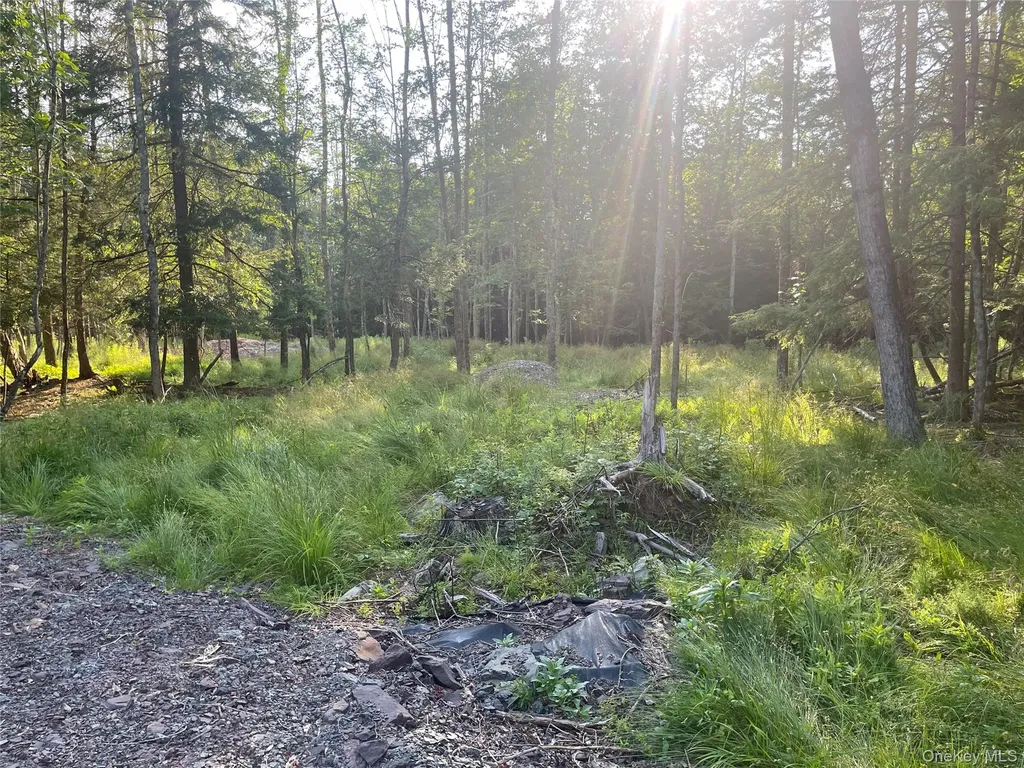 Tbd Lot 8 Boulder Brook Road Windham NY 12496