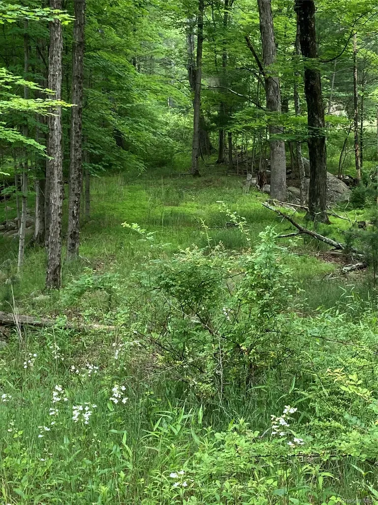 287 Church Road Wallkill NY 12566